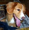surferlitter116.jpg