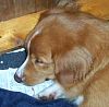 surferlitter127.jpg