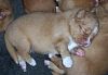 surferlitter12weeks10.jpg