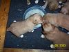 surferlitter13weeks3.jpg