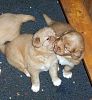 surferlitter13weeks7.jpg